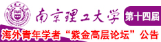 插入花核南京理工大学第十四届海外青年学者紫金论坛诚邀海内外英才！